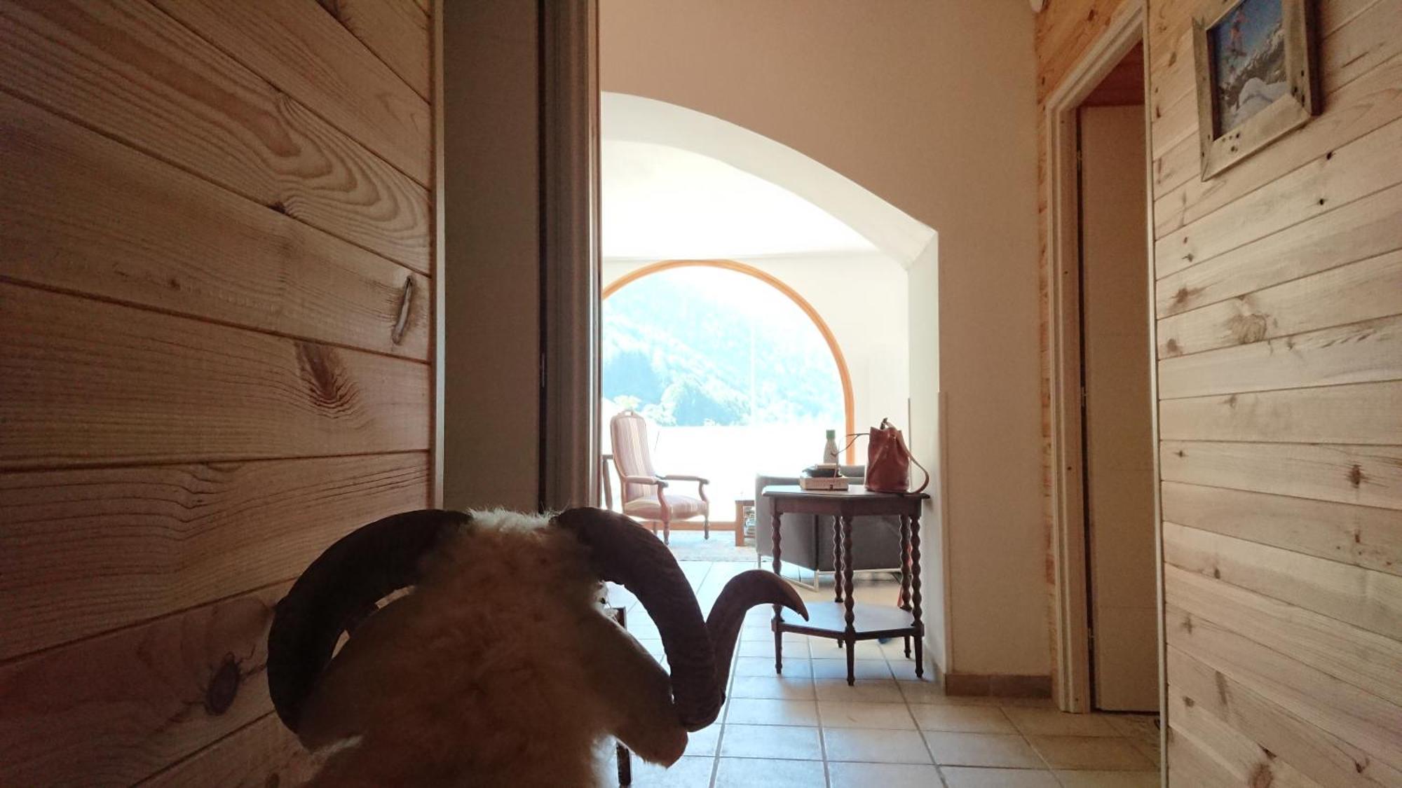 Superbe Logement 12 Pers Famille Ou Groupe. Laruns Bagian luar foto